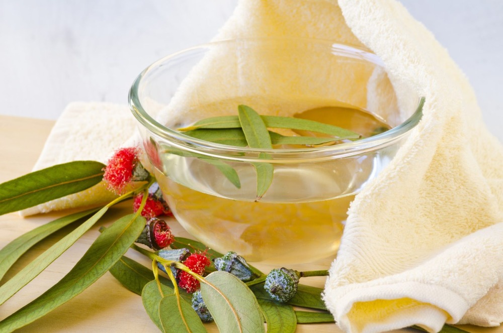 Nadi Sweda (Herbal Steam Therapy)